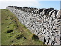 Stone wall on Barton Hill