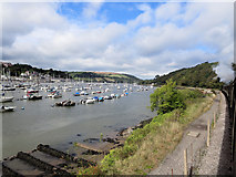 SX8851 : Dartmouth Harbour from the Railway by Stuart Logan
