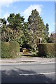 #126 Wantage Road - detached house behind the trees