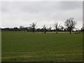 Farmland, Alderton