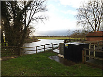 TM3691 : River Waveney off Mill Pool Lane by Geographer