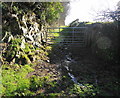 Muddy Lane to Cumble Tor