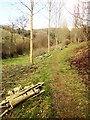 Path to Larcombe Quarries