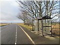 Bus stop, Rosefield