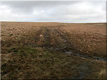 SD7939 : Footpath on Spence Moor by Chris Heaton