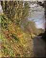 Approaching East Leigh Cross