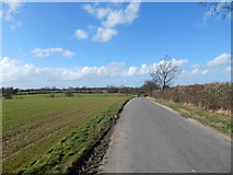 TL9443 : Road towards Priory Green at Round Maple by Hamish Griffin