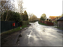 TM3691 : Mill Pool Lane & Ellingham Mill Postbox by Geographer