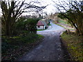 Looking down Ridge Top Lane to junction with Bordean and Staple Ash Lanes