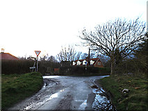 TM3692 : School Lane, Ellingham by Geographer