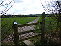 Field path going south to High Cross Lane