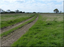 SK7823 : Farm track across a field near Waltham on the Wolds by Mat Fascione