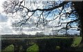 Fields and Hedgerows near Reaseheath College