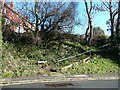 Steps to Elm Grove Footpath