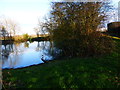 Mare Pond on top of hill