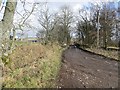 Farm access, East Tullyfergus