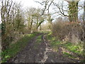 Path North of Edwardstone