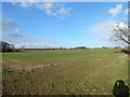 Field near Mill Wood