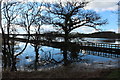 Flooded Land at Kirkcudbright