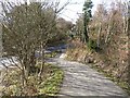 Road crossing on the Derwent Path