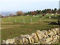 Cemetery on Pontop Pike Lane, Dipton