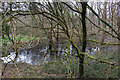 Pond at eastern corner of Bishopstoke Cemetery