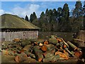 ST2885 : Boat house and logs, Tredegar House Park by Robin Drayton