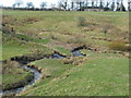 Confluence of Souter Burn and Burnbrae Burn