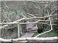 Fallen tree and footbridge