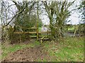 Footpath through paddock joins byway at stile