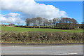 Farmland at Carse