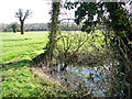 Small pond beside High Road