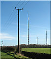 TM1296 : Electricity pylons beside Traice Road by Evelyn Simak