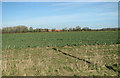 TM1196 : View towards Church Farm, Wattlefield by Evelyn Simak