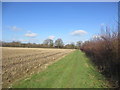 Path adjacent to hedge