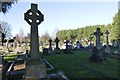 Crosses in the Cemetery