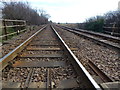 TF1106 : Railway at Bainton Green level crossing by Richard Humphrey