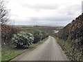 Driveway, Halsgrove Farm