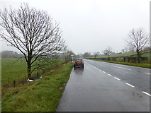 H6158 : A5 Omagh Road, Greenhill Demesne by Kenneth  Allen