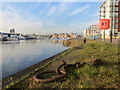 The disused Eagle Wharf at Ipswich Wet Dock