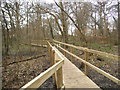 TQ1593 : Walkway over the pond on Stanmore Common by David Howard