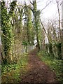 ST5982 : Community Forest Path in Pegwell Brake by Derek Harper