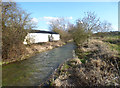 SU3378 : River Lambourn, Bockhampton Rd. (downstream) by Des Blenkinsopp