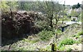 Cinderford Bridge Quarry from boundary with Wagstaff House