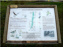 TM2499 : Shotesham Common Information Board by Geographer