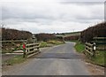 Cattle grid on Worth Lane