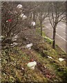 Litter, Asda car park, Patchway