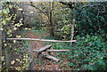 Stile near Lower Hawksfold