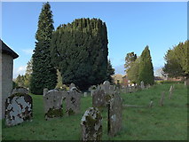 TQ0934 : Holy Trinity, Rudgwick: churchyard (iv) by Basher Eyre