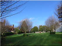 TQ0934 : Holy Trinity, Rudgwick: churchyard (vii) by Basher Eyre